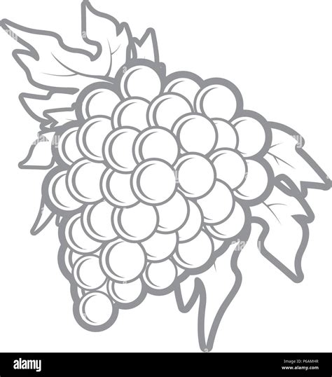 Grapes Picture Outline at Sergio Hasting blog