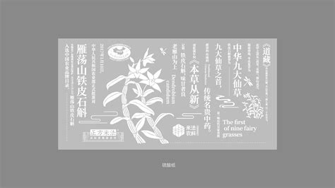 铁皮石斛-VI设计-LOGO设计公司-品牌包装设计公司-杭州易象设计
