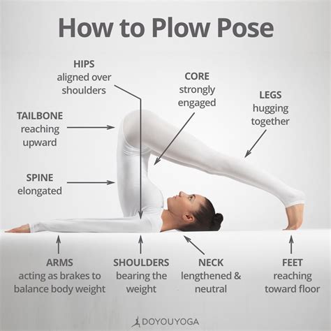Halasana 101 What are you favorite cues for Plow Pose? | Yoga asanas ...