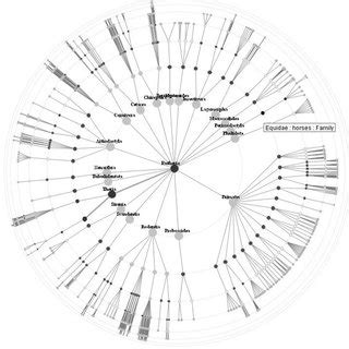 Image result for Radial Tree Graph Visualization Python