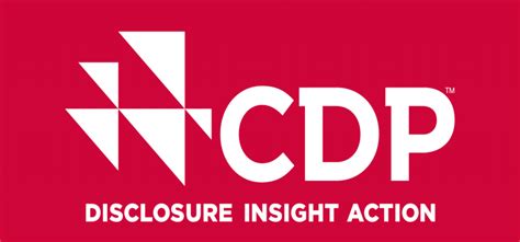 CDP Languages 的图像结果