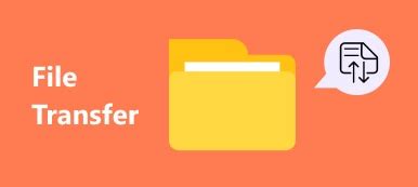 Image result for Data File Transfer