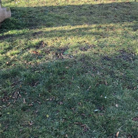 STARY RINOK (2024) All You Need to Know BEFORE You Go (with Photos ...