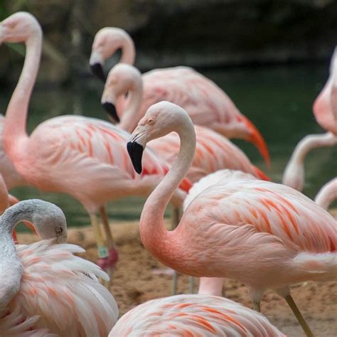 THE 30 BEST Places to Visit in Pearland (2025) - Must-See Attractions