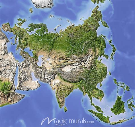 Asia Relief Map 的图像结果