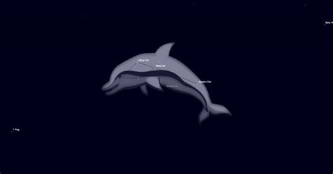Delphinus Constellation Guide - A Dolphin of Stars • Love the Night Sky