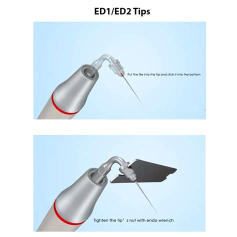Buy Woodpecker Endodontic Scaler Tips for DTE & Satelec Scalers – Oralkart