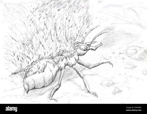 Image result for Exploding Ant Video in Reading Street Book