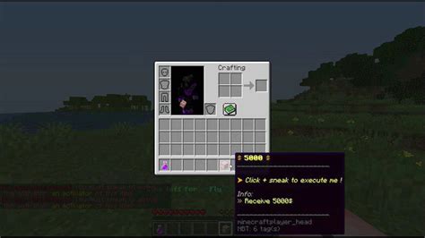 Image result for How to Make Custom Items Minecraft Server Java Commands 1.14