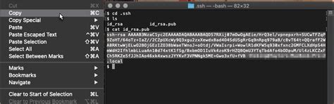Script Bash File Key File Generator.cmd 的图像结果