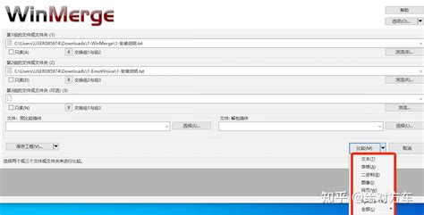 WinMerge Tutorial 的图像结果