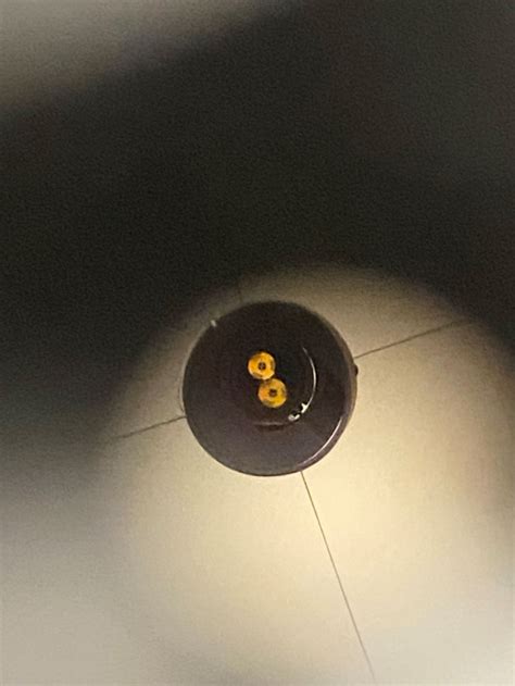 Image result for Collimation Telescope Check