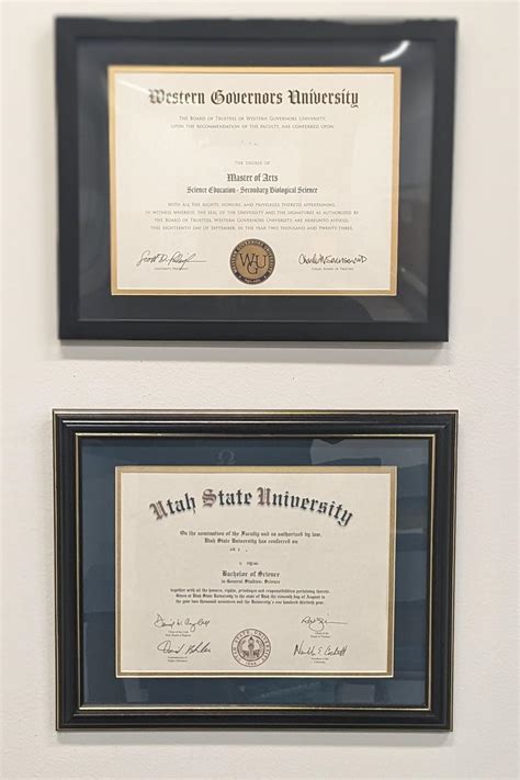 D102 Financial Accounting exam tips : r/wguaccounting