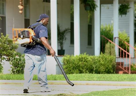 States and towns consider banning gas-powered leaf blowers and lawn mowers Background