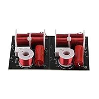 Sanpyl Speaker Frequency Divider, DIY Hi-Fi Audio Module Board, 2 Way 2 ...