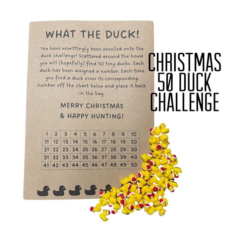 50 Pcs Christmas Duck Challenge Kit, Hide-a-duck Kit, Miniature Duck ...