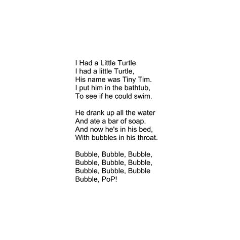 Tiny Tim Turtle Song Lyrics at Ellie Redmond blog