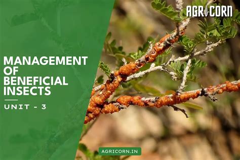Unit 3 - Lac Production | Management of Beneficial Insects
