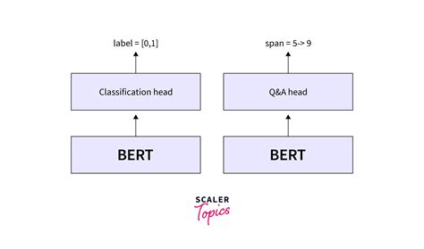 Next Sentence Prediction with BERT - Scaler Topics