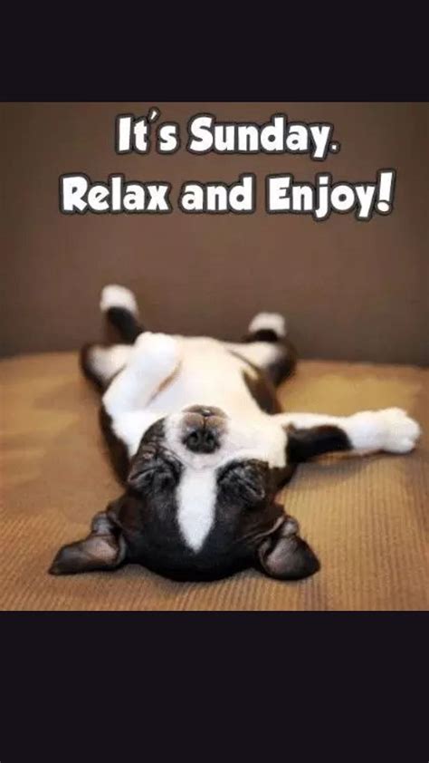 Funny Sunday Meme