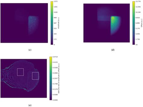 Polarization-Modulated Optical Homodyne for Time-of-Flight Imaging with ...