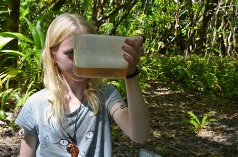 Image result for Hand Power Washing Machine Sailing