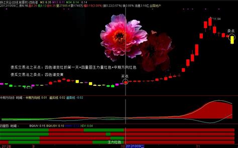 麟龙操盘手软件（趋势、位置、量能、买卖点、资金）麟龙模板全套公式-通达信公式-股海网