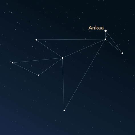 Constellation Phoenix | Interesting Information