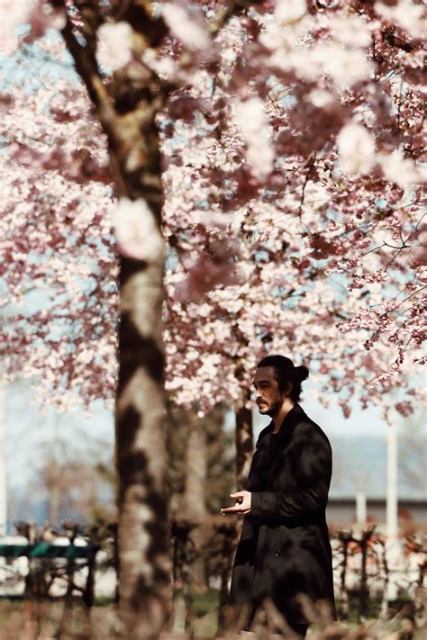 Image result for Swedish Spring