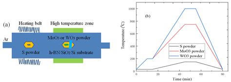 Fabrication and Characterization of MoS2/h-BN and WS2/h-BN Heterostructures