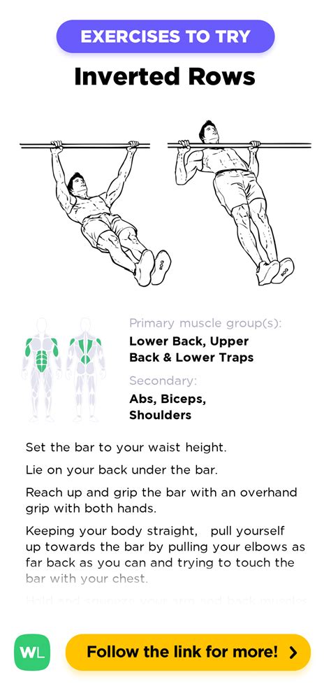 Image result for Inverted Row Back Exercise