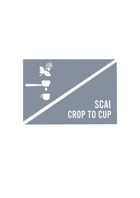 SCAI Workshops – scai.coffee