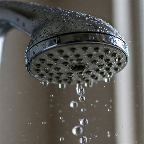 Why is My Shower Head Whistling? 6 Reasons Why and How to Fix Them ...