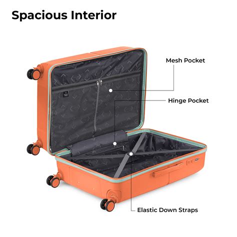 Springfield – Nasher Miles