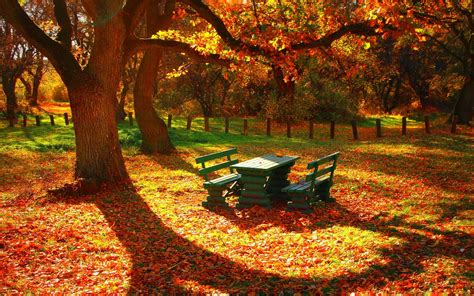 Image result for Fall Nature Desktop Backgrounds