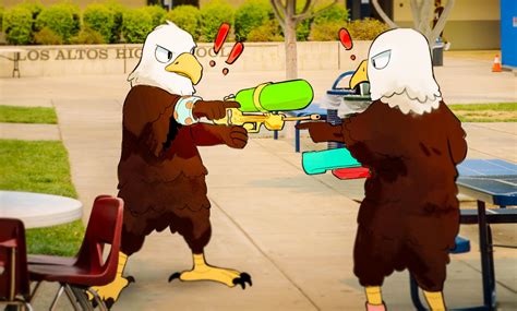 Splash Zone: Senior Assassin 2024 – The Talon