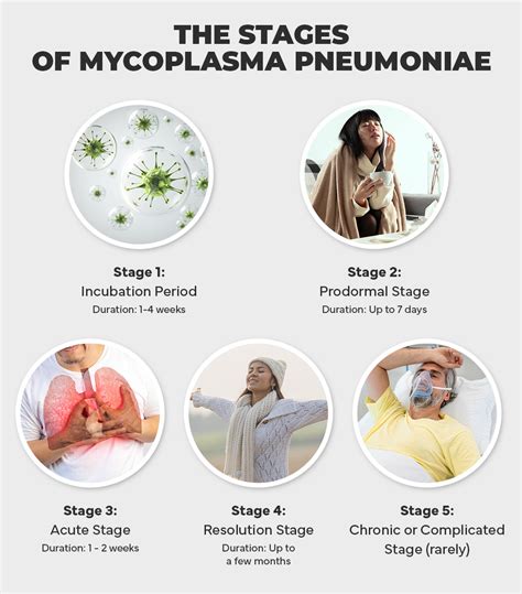 Mycoplasma Pneumoniae: Transmission & How To Recover - Atlus