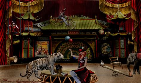 Goodnight Circus Tricks 的图像结果