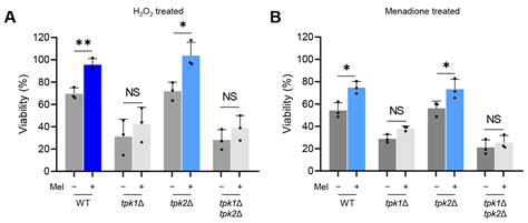 Protein Kinase A Controls the Melanization of Candida auris through the Alteration of Cell Wall ...