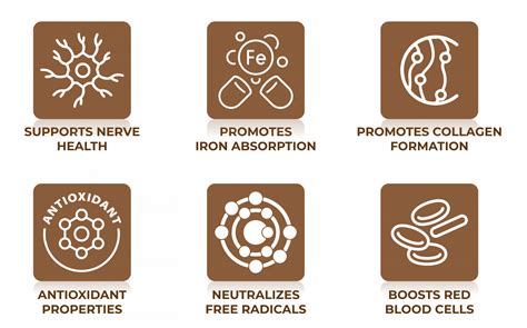 Buy Copper Water Bottles & Utensils Online in India | Tamba Products ...
