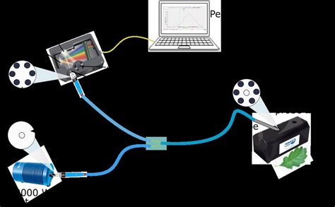 Image result for Environment Diffuse Scale Demonstration