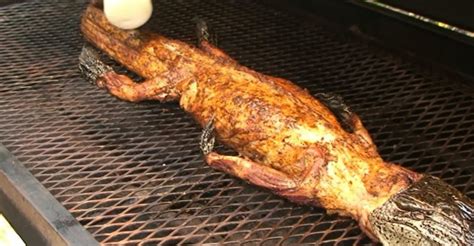 How To Make Alligator Meat? , How to Cook Alligator Meat - XUAS