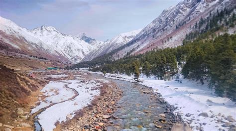 APPLE RESORT (Sangla, Himachal Pradesh) - Inn Reviews & Photos ...