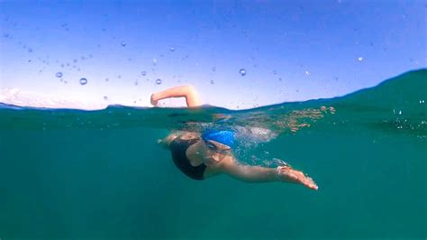 Swim in Sea 的图像结果