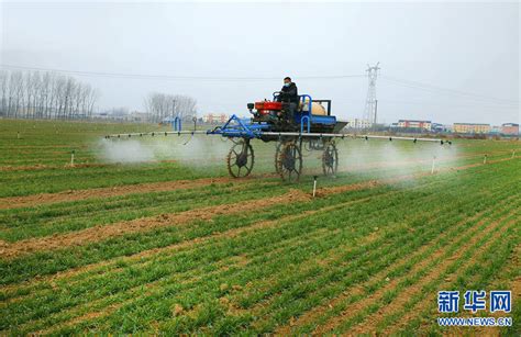 潍坊：春耕春管有保障 512万亩小麦丰产底气足