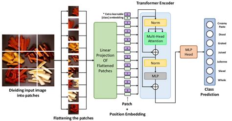 Vision Transformer 的图像结果