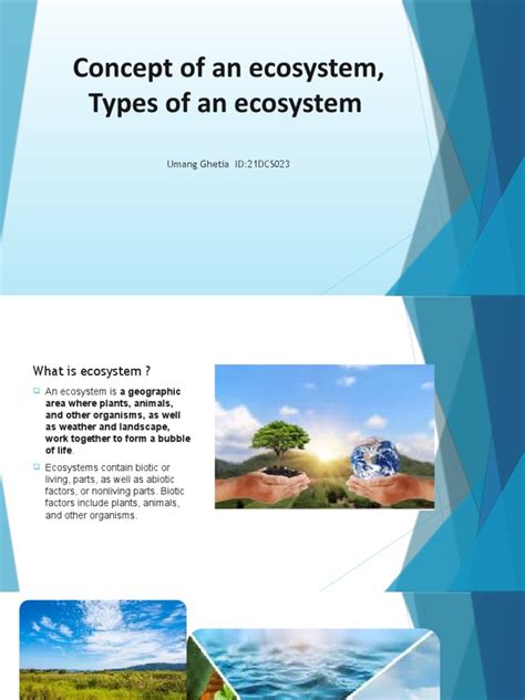 Image result for Ecosystem Structure and Function