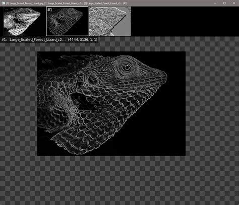 Image result for Object Detection Using Canny Edges