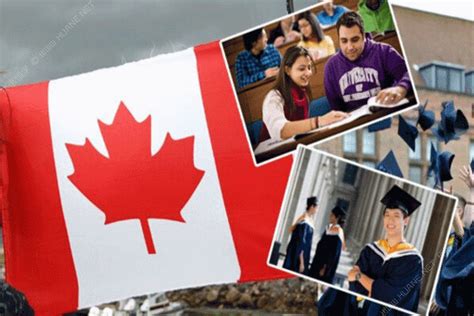 小学留学加拿大的利与弊 - 知乎