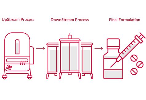 Biotech Process 的图像结果